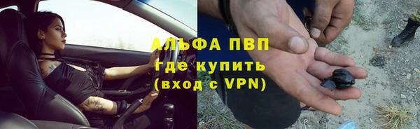 ALPHA PVP Беломорск