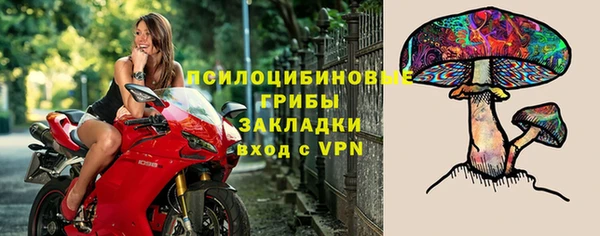 jwh Белокуриха