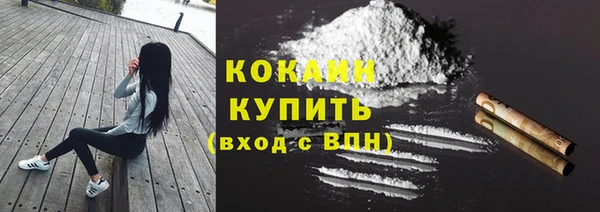 прущие грибы Белоозёрский