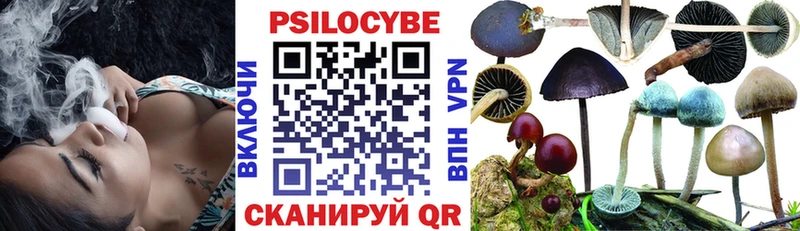 нарко площадка официальный сайт  Краснознаменск  Псилоцибиновые грибы Magic Shrooms  МЕГА маркетплейс 